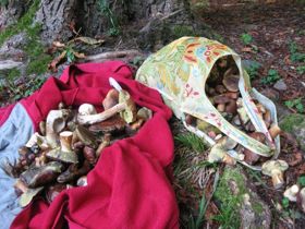 Výlet na Říhovu chatu 7.9.2014